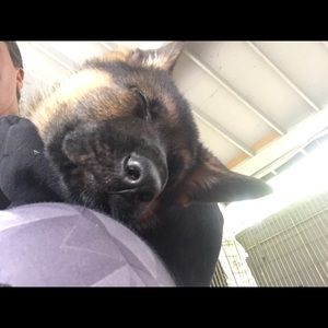 Meet your Posher, Hillary